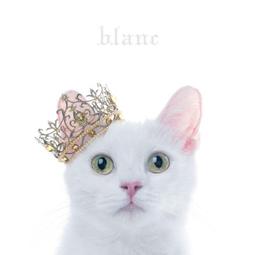 特價預購 航空版 Aimer BEST SELECTION 精選 blanc  (日版初回限定A盤CD+BD) 最新 歷史價格詳細信息