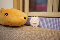 【胖麻糬】反叛的魯路修 魯魯修 EXQ景品 抓樂霸 toreba 現貨 歷史價格詳細信息