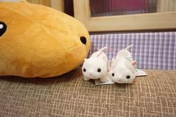 【胖麻糬】反叛的魯路修 魯魯修 EXQ景品 抓樂霸 toreba 現貨 歷史價格詳細信息