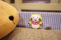 抓樂霸景品❤️日本空運來台????????庫洛魔法使 一起睡大玩偶 可魯貝洛斯 小可 玩偶 歷史價格詳細信息