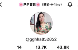 國際版音王點歌機InAndon中國港澳臺家庭KTV卡拉ok一體唱機90MAX 歷史價格詳細信息