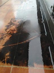 宜蘭冬山 香米/2公斤x2包+珍珠米/2公斤x2包+嚴選米/2公斤x2包 歷史價格詳細信息