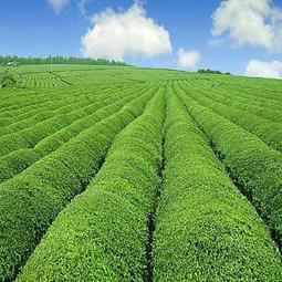 【教學影片 SR_8150】_飯店業督導_46堂課全集_大學課程SR系列_南開大學 歷史價格詳細信息