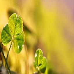 【課程影片 SR_8526】_電路分析基礎_30堂課全集_大學課程系列SAPU_石油大學 歷史價格詳細信息