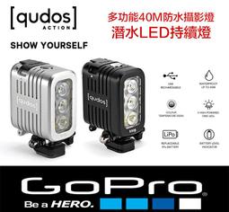 GoPro補光燈潛水專用補光燈LED補光燈拍照補光運動相機補光燈水下 歷史價格詳細信息