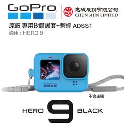 虹華數位 ㊣原廠 GOPRO HERO 12 10 9 8  AKTAC-001 運動套組 單車固定座+收納包+雙肩胸帶 歷史價格詳細信息
