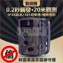 叢林機械軌道滾珠diy手工拼裝模型立體木質拼圖益智玩具 歷史價格詳細信息