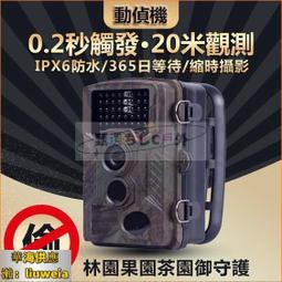 叢林機械軌道滾珠diy手工拼裝模型立體木質拼圖益智玩具 歷史價格詳細信息