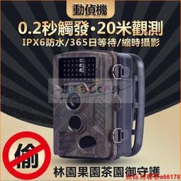 叢林機械軌道滾珠diy手工拼裝模型立體木質拼圖益智玩具 歷史價格詳細信息