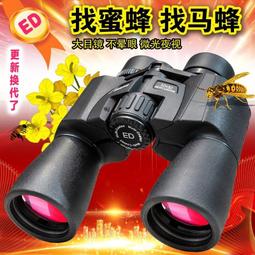蜜蜂與遠雷【電影雙視覺書腰珍藏版】【金石堂】 歷史價格詳細信息