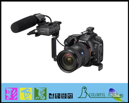 彩色鳥(租 DV 攝影機)租 SONYAX700 4K SD雙卡  SONY FDR-AX700 歷史價格詳細信息