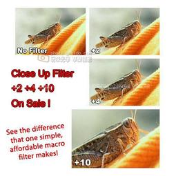 《十倍速影像閱讀法：一分鐘看完六十頁、顛覆常識的速讀術！》ISBN:9574552225│大田│保羅‧席利 無劃記15G 歷史價格詳細信息