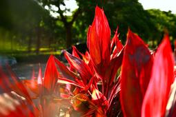 [稀有新品] 70'S SEIKO SD-502R 翻頁鐘 歷史價格詳細信息