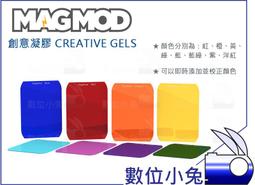 意凝念住 歷史價格詳細信息