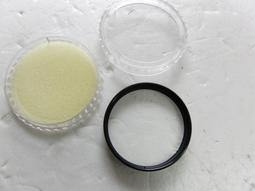 近新 日本品牌 MAYSON GREY 優雅布料 黃玫瑰深藍色碎花裙 花柄及膝裙 歷史價格詳細信息