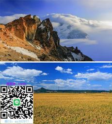 裝機卡微星7300LE+技嘉7200GS+(VGPC1)華碩7200及7300GS  顯示卡(PCI-E介面) 歷史價格詳細信息