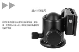 相機云臺三腳架獨腳架配件攝影攝像云臺底座迷你快裝板小全景夾座 歷史價格詳細信息