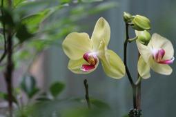 ~ 什麼都賣 ~ DWL-520+ PCI介面無線網路卡 歷史價格詳細信息