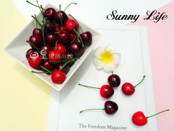 【日皇二館】人造草皮 裝飾草坪 zakka 拍攝道具 微景觀 盆栽造景多肉盆栽裝飾 仿真苔蘚假草皮 歷史價格詳細信息