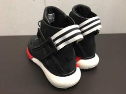 歐洲國家公投：慶賀王泰銓教授八十高壽／施正鋒主編／9789869580014 歷史價格詳細信息