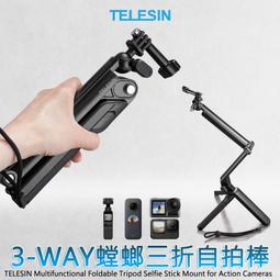 TELESIN 三色濾鏡套組 紫/紅/洋紅 (HERO9 50米防水殼專用) 歷史價格詳細信息