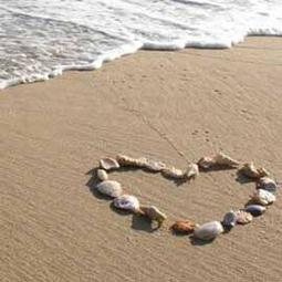 柯達icrg-230相紙4pass拍立得 shot 2 retro色帶一體照相片紙 歷史價格詳細信息