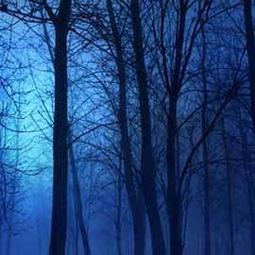 柯達icrg-230相紙4pass拍立得 shot 2 retro色帶一體照相片紙 歷史價格詳細信息