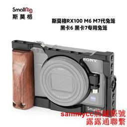 【SONY 索尼】RX100 VII - 光學變焦4K高速相機(公司貨 RX100M7) 歷史價格詳細信息