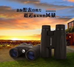 美國星匠鉆莫桑石鉆戒鉆石戒指珠寶首飾婚戒印記PT950帶證書過筆--鴻運飾品 歷史價格詳細信息