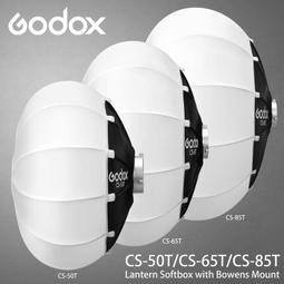 Godox神牛球型圓頂柔光罩AD-S17(白色)適Wistro威客AD180 AD360 AD360II-C-N 歷史價格詳細信息