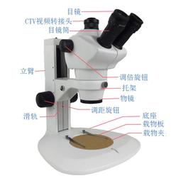 現貨顯微鏡8W白光源110V220V IACDG環形熒光燈內徑60mmHXLAMP SZMST60 歷史價格詳細信息