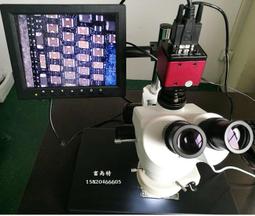 130萬8mm安卓手機內窺鏡5米硬線長工業內窺鏡 管道內窺鏡 歷史價格詳細信息