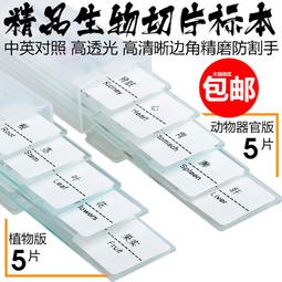 現貨薩科雷aux音頻三合一適用蘋果華為typec連接3.5mm汽車音響連接多頭一分二腦音箱損轉換一拖三簡約 歷史價格詳細信息