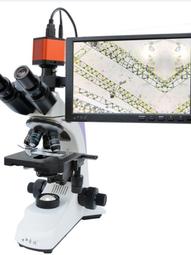 [專業] 雙顯錶 [LICORNE L572] 力抗錶(獨角獸) 圓形時尚錶[白面+液晶] 石英表 歷史價格詳細信息