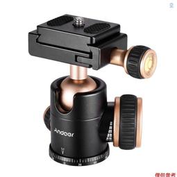 【台灣現貨+安全合格標籤 滅鼠先鋒】哥吉拉 皮卡丘 冰棒 好運泡泡包 零錢包 按壓玩具 舒壓玩具 益智桌遊 紓壓神器 歷史價格詳細信息