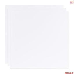 台灣現貨亞獅龍RSL羽毛球4號耐打王穩定訓練比賽專業用球12只裝鴨毛球 歷史價格詳細信息