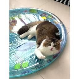 台灣現貨[寵兒母嬰] 室內外可調整兒童籃球架 青蛙老虎立式籃球板籃球框配球運動玩具 歷史價格詳細信息