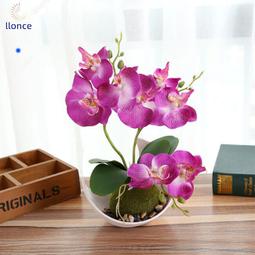 【現貨】蝴蝶蘭花創意僧帽公道杯【化雲】分器家用陶瓷海具公杯【A001】 歷史價格詳細信息