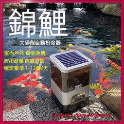 定做戶外卡通熊滾滾雕塑創意打卡商場門頭店鋪拍照落地擺件 歷史價格詳細信息