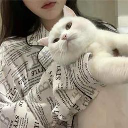 性感冬季大碼胖mm連體泡溫泉泳衣女夏季運動平角仙氣甜美成人短袖 歷史價格詳細信息