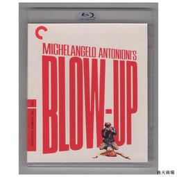 米開朗基羅筆記--推理小說 歷史價格詳細信息