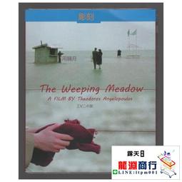 龍淵商行✨盒裝 安然無恙 托德海因斯 藍光碟電影BD25高清1080P【電影心播客】 歷史價格詳細信息