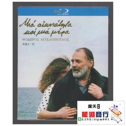 龍淵商行✨盒裝 安然無恙 托德海因斯 藍光碟電影BD25高清1080P【電影心播客】 歷史價格詳細信息