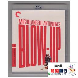 龍淵商行✨盒裝 安然無恙 托德海因斯 藍光碟電影BD25高清1080P【電影心播客】 歷史價格詳細信息