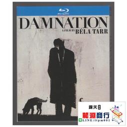 龍淵商行✨盒裝 第三人 卡羅爾裡德 奧遜威爾斯 藍光碟電影BD25高清1080P【電影心播客】 歷史價格詳細信息