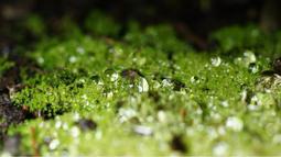 好機隨便賣/惠普 HP Pavilion TPN-Q158 /5代i5/SSD硬碟/8G記憶體 歷史價格詳細信息