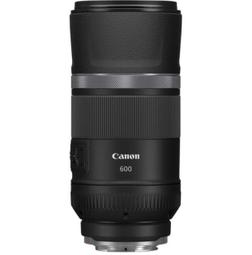 11 Bee Gees GOLDEN STAR SERIES CD專輯 二手 B11 歷史價格詳細信息