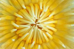 Vivitar 70-150mm f3.8 手動定光圈變焦鏡EOS卡口 歷史價格詳細信息