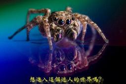 降價200--150  亞青寺 新伏藏甘露  文殊、嚐解脫、無死長壽 歷史價格詳細信息