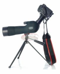 小牛津 - 小小觀察家 + 躲貓貓大挑戰 互動點讀遊戲畫冊 (學習點讀筆延伸教材) 歷史價格詳細信息